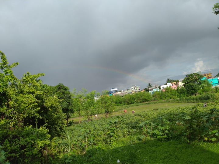 rain