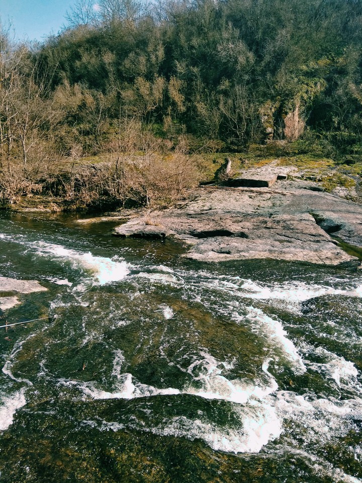 река