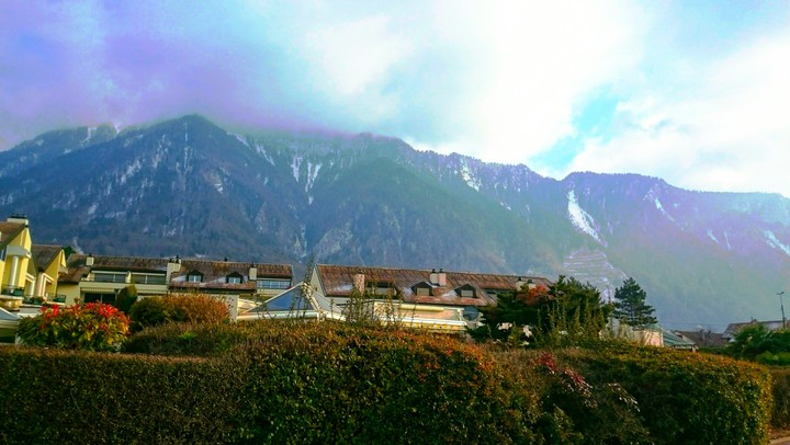 STAMATIOS