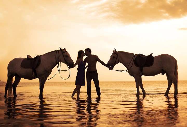 horses Valentine's