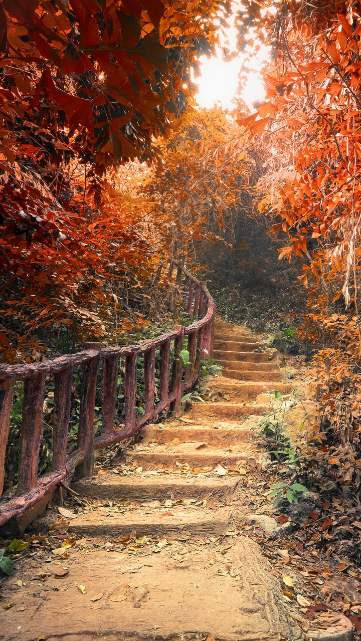 Spaziergang
