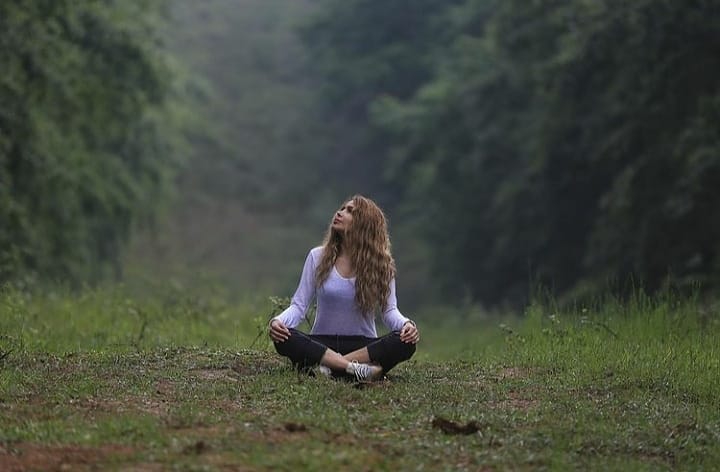 Gilan Forest