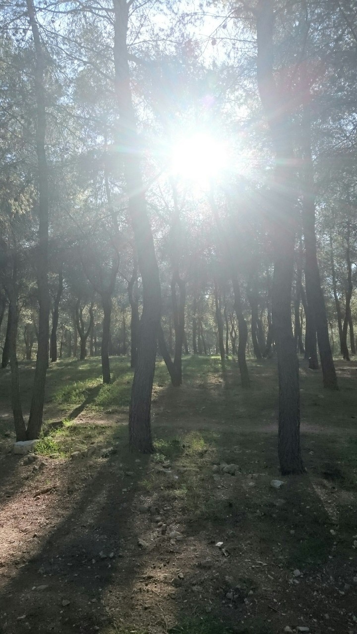 nature