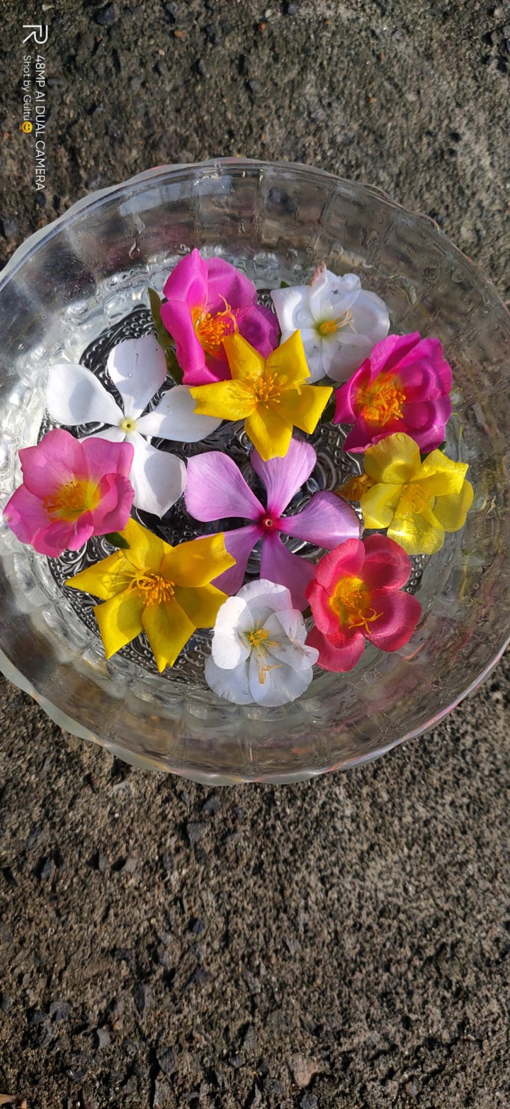 Flowers