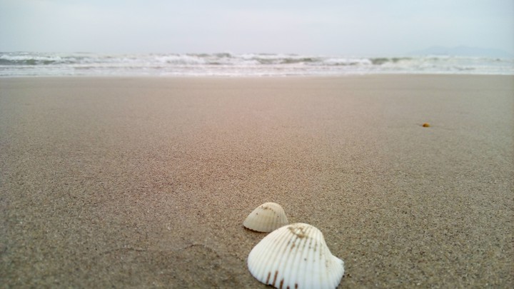 Cua Lo beach, Nghe An, Vietnam