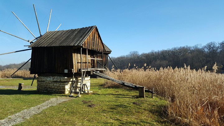 Countryside