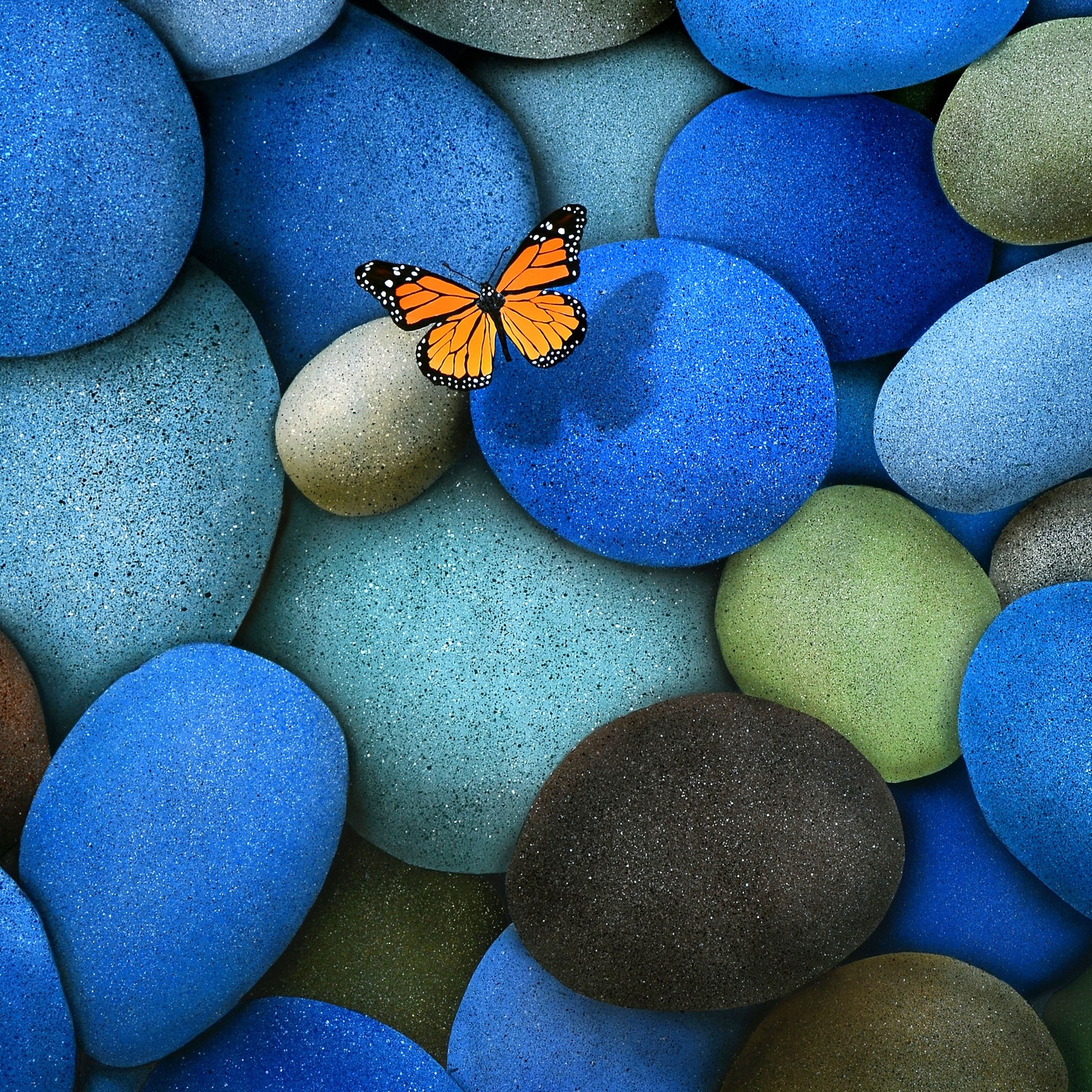 sfondi pollinator, blue
