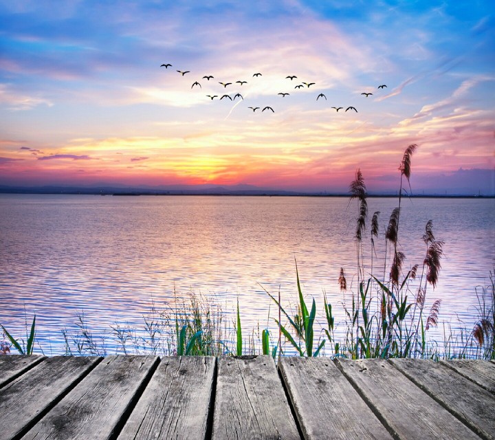 Nature