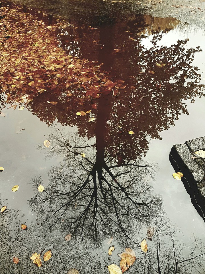 Fall in a nutshell
