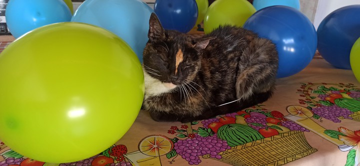 manchas ? durmiendo entre globos