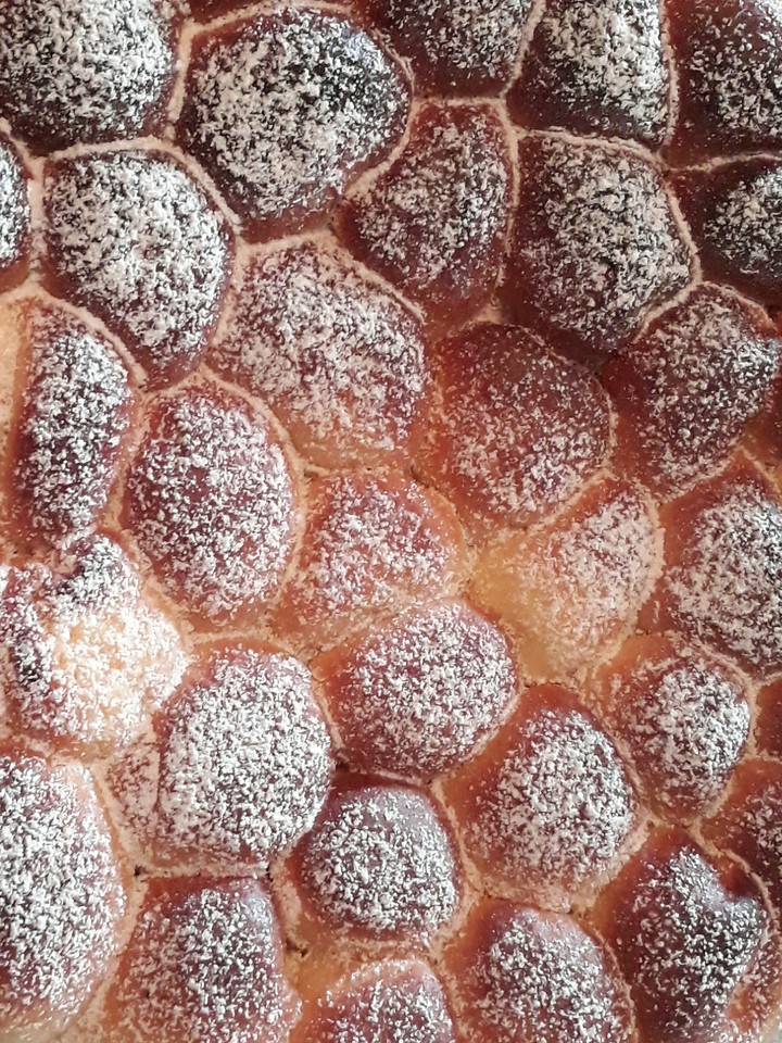 Home made czech bun 