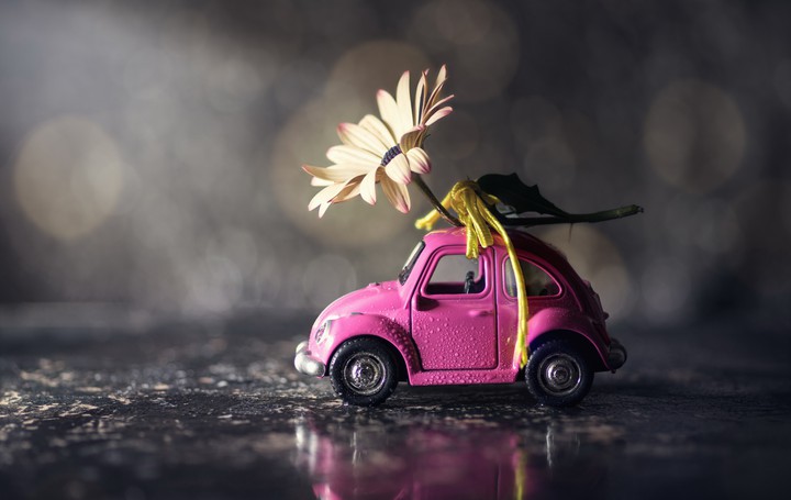 toy