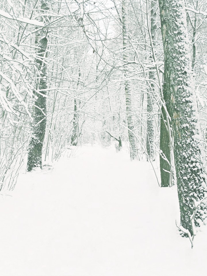 Winter.