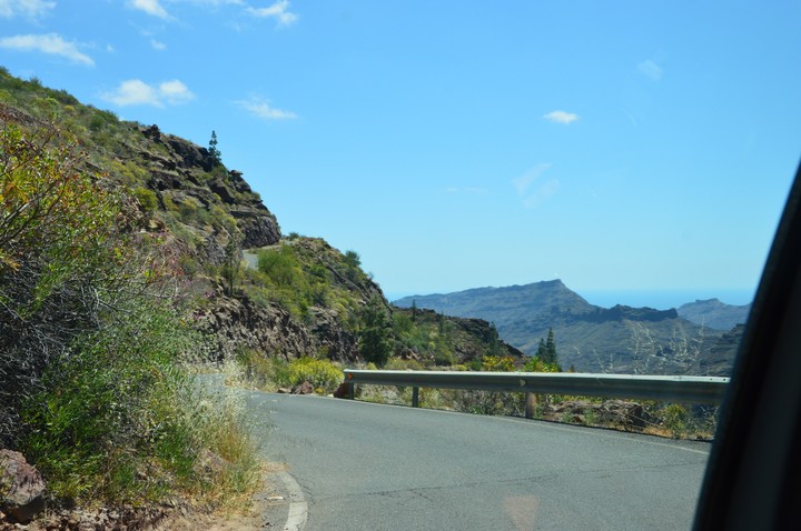 view from the car