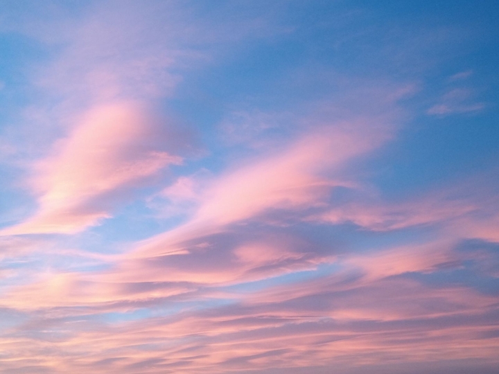 Pink sky