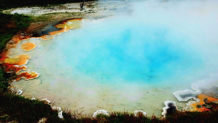 Sapphire Geyser Yellowstone National Park