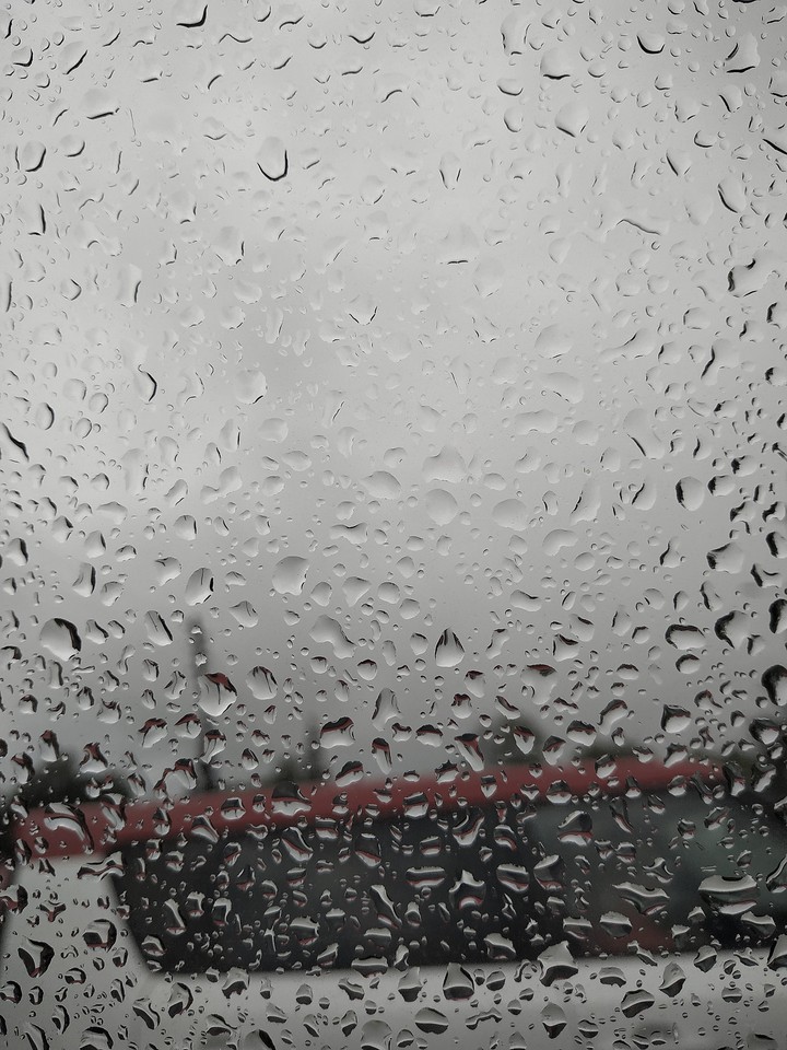 Rainy summer