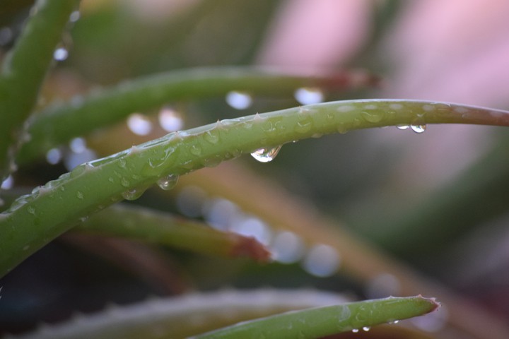 Water