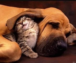 FRIEND IN NEED IS FREIND INDEED