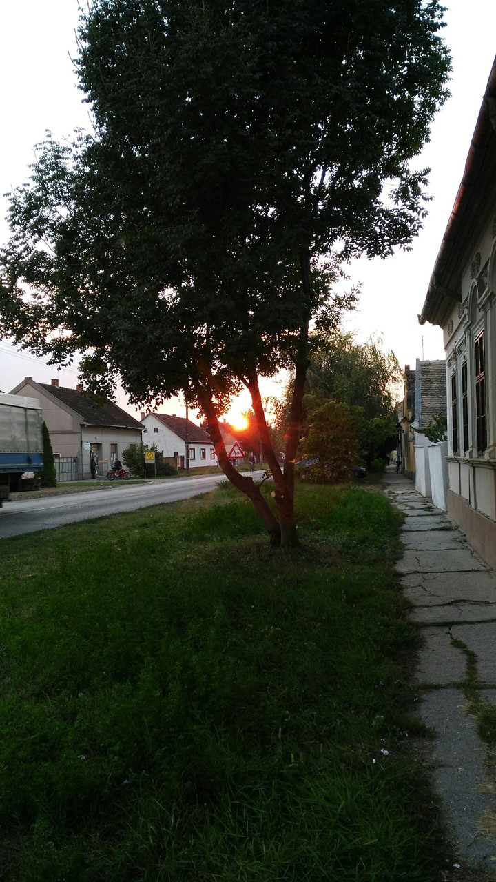 street