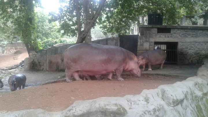 trivandrum