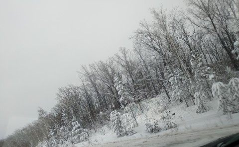 Snowy