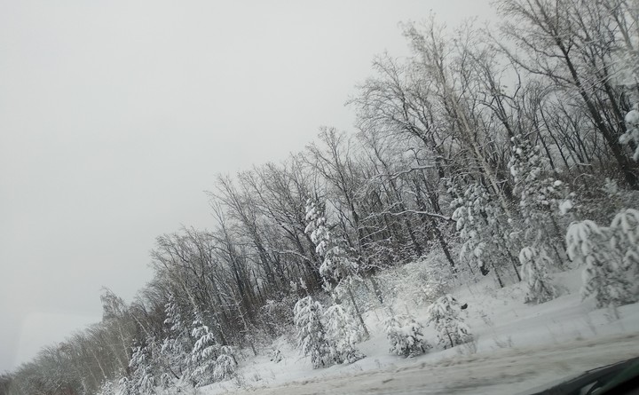 Snowy