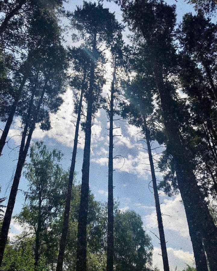 I love to think of nature as an unlimited broadcasting stati