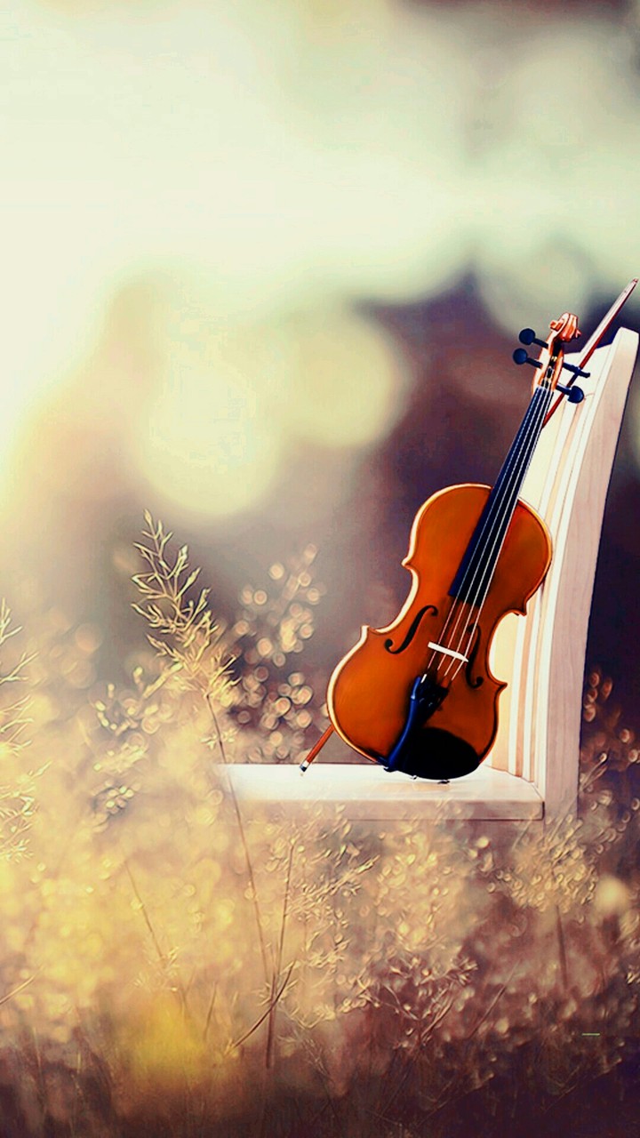 Violene is alone but singing in alone