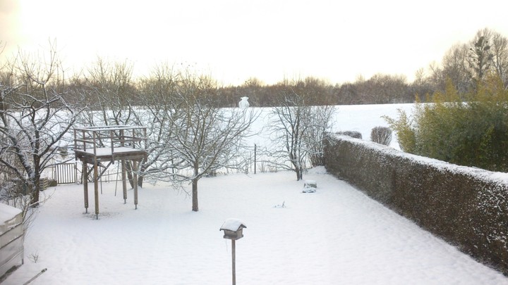 Winter Garden and Snowman