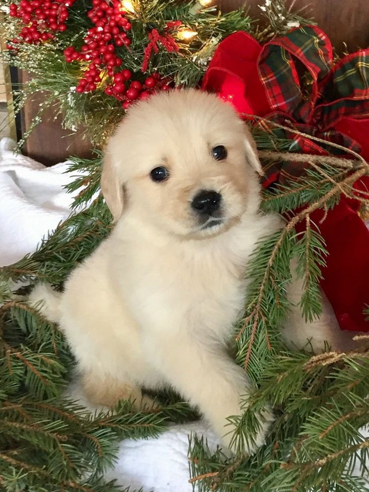 ❤️ ❤️