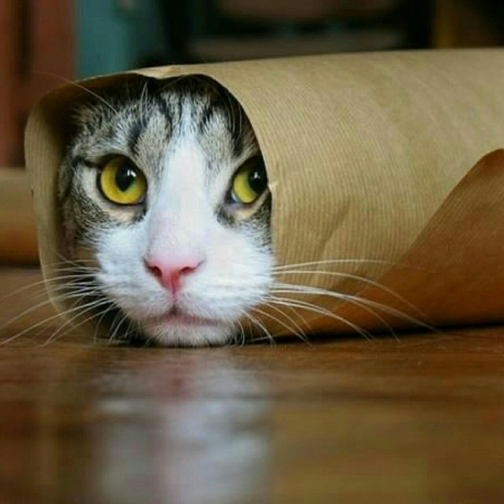 HELP ME!