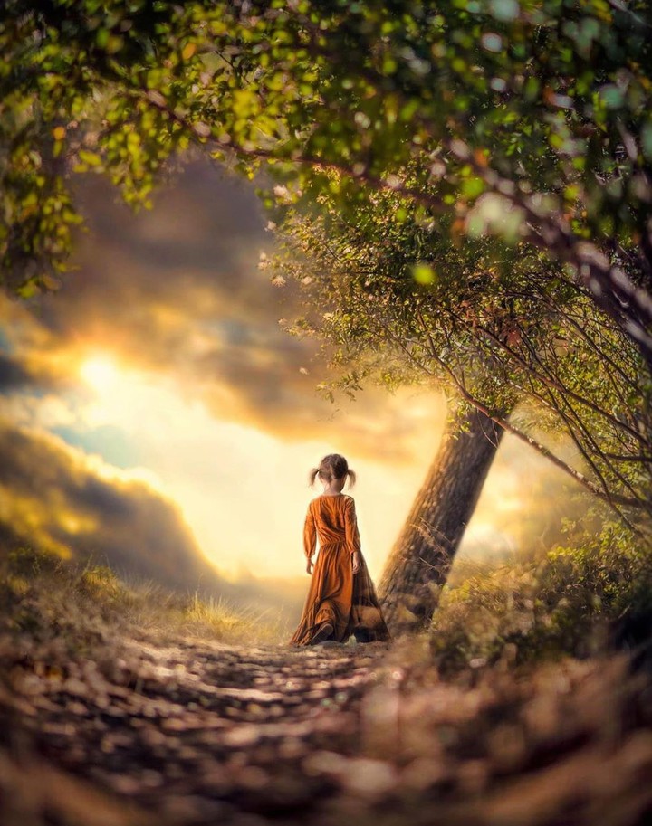 Forest footpath