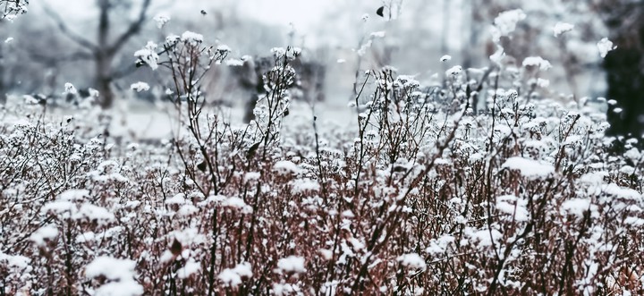 cold