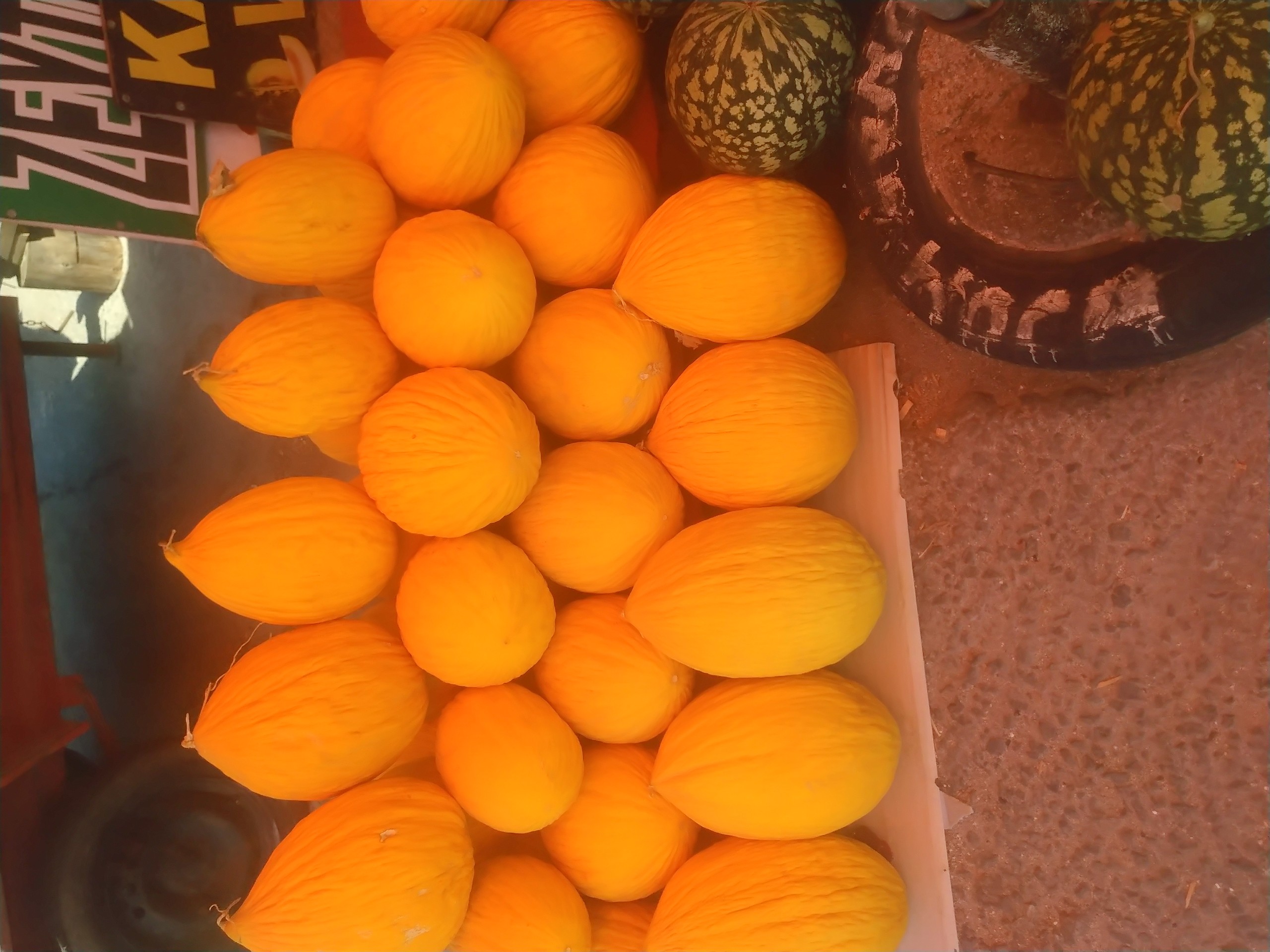 fondos de pantalla Squash, Orange