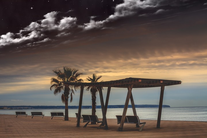 Sea Benches Palms