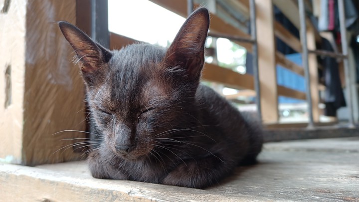 Sleeping