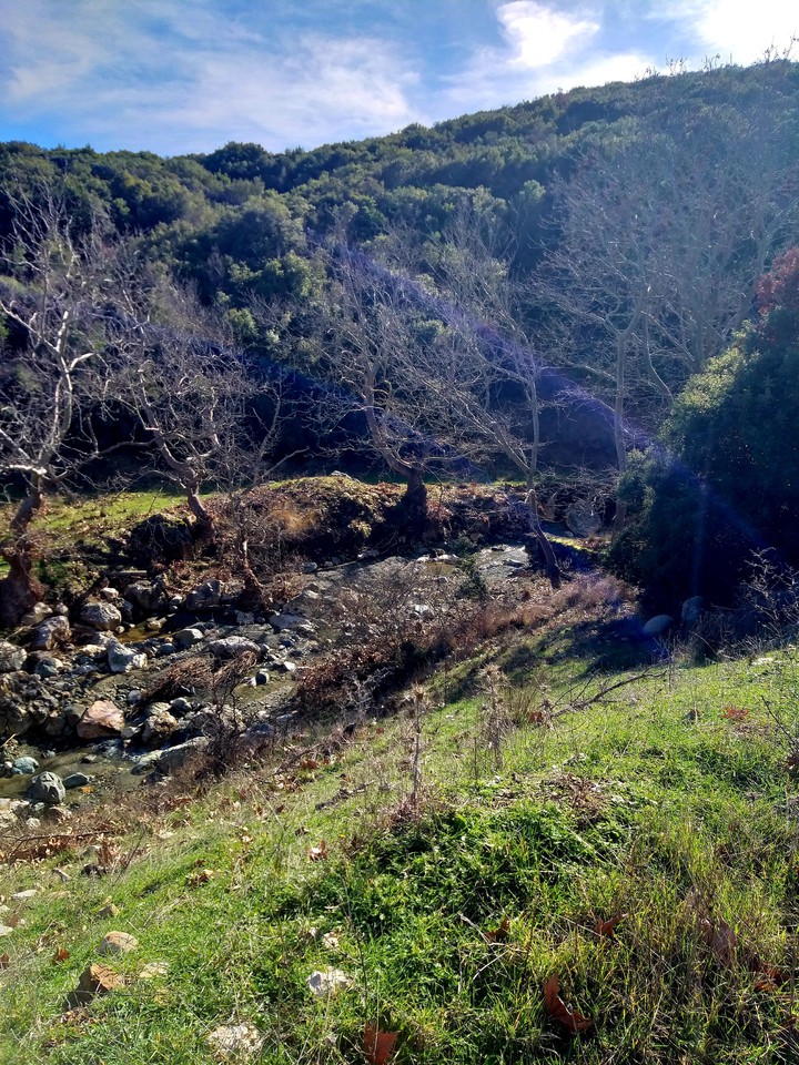 Nature