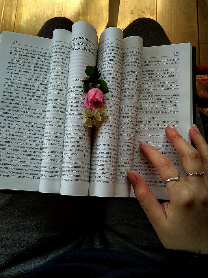 идея книги