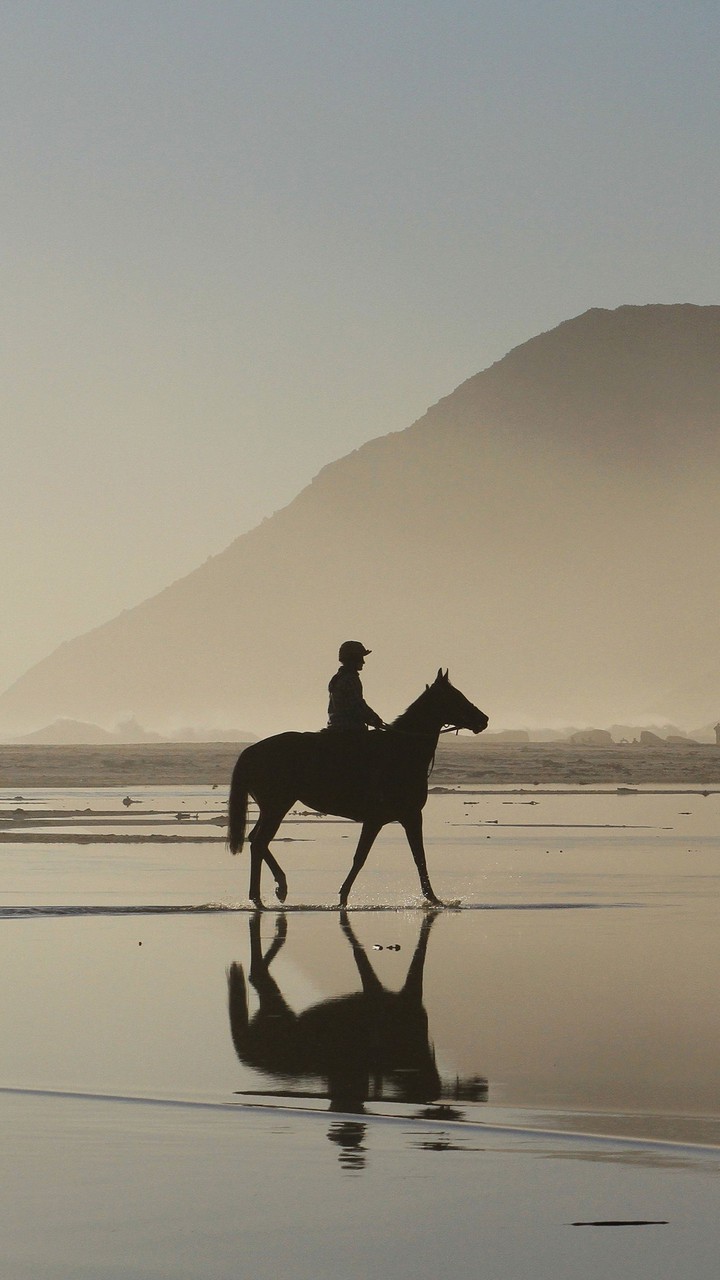 。。。。。。。。是