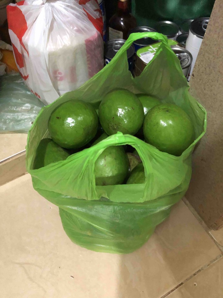 Aguacates | Avocados