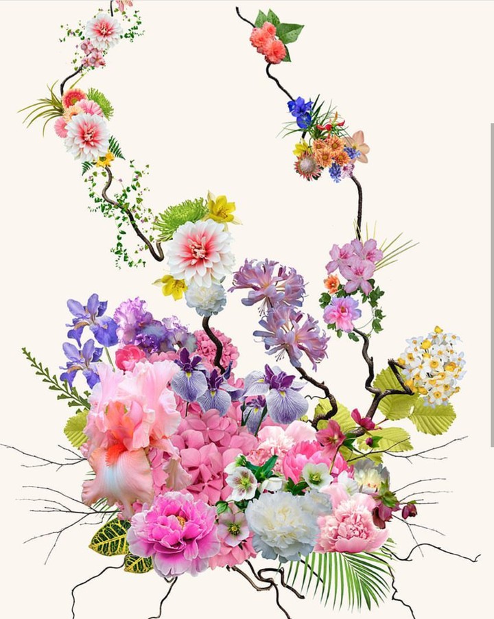 flowers colage