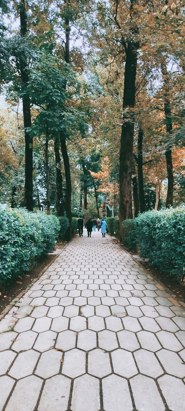 fall
