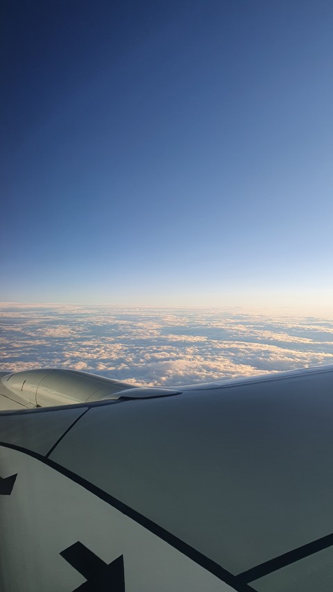 Avion