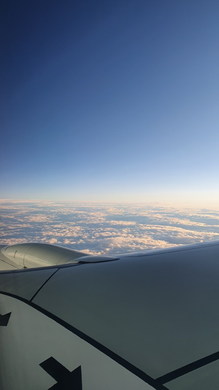 Avion