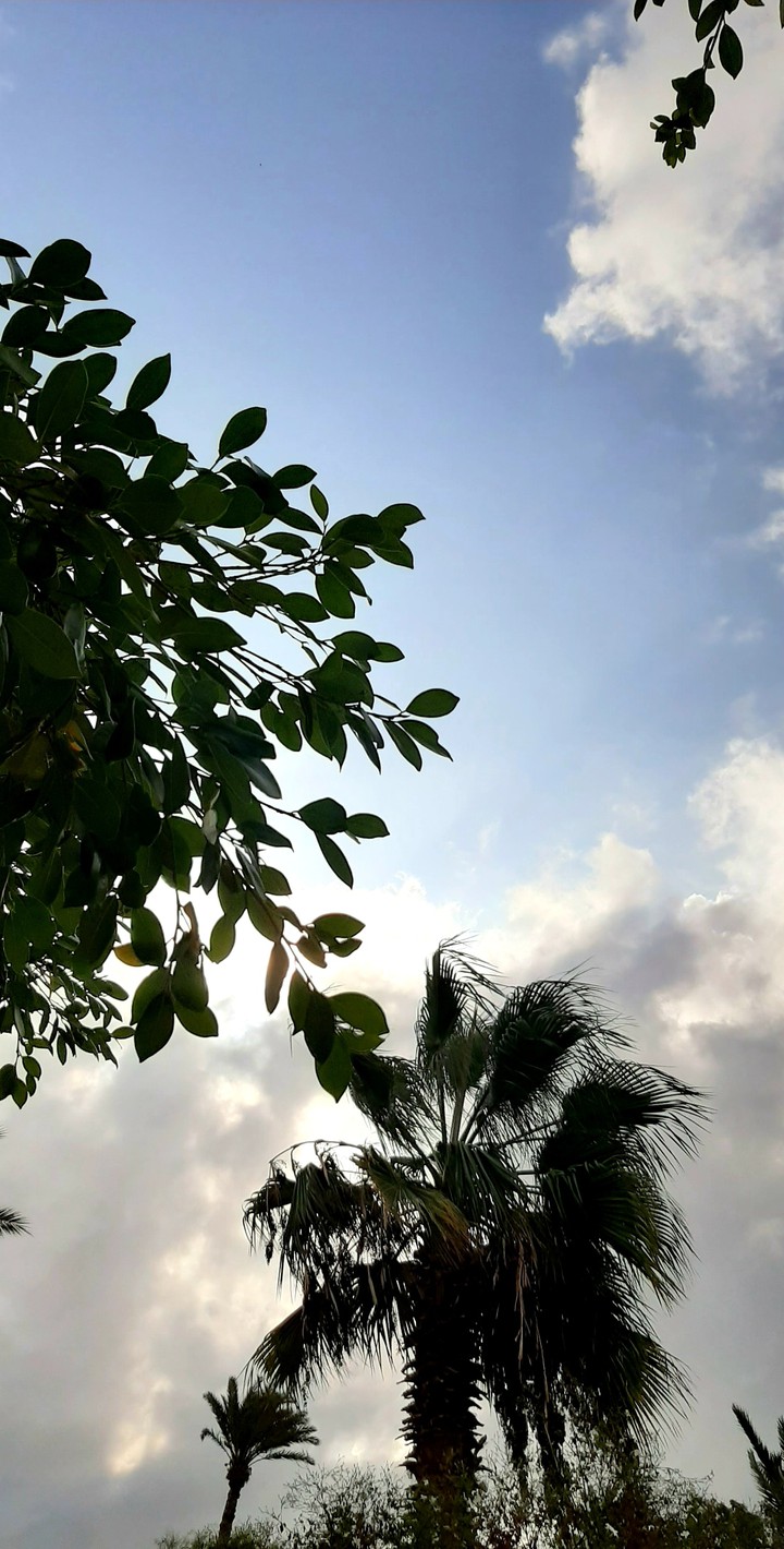 blessed by nature