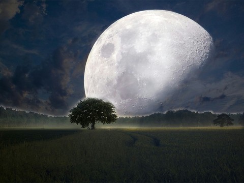 nature