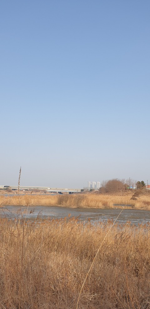 plain, marsh duvar kağıtları