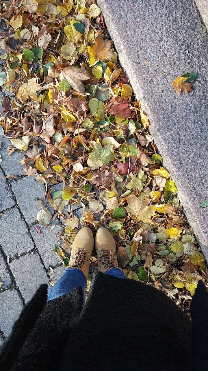 Autumn