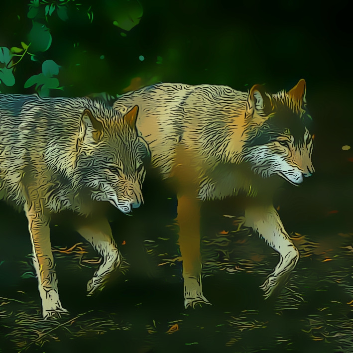 Wolves